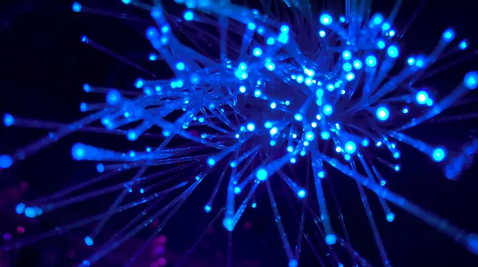 purple and blue light digital wallpaper